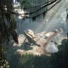 crysis_3_002
