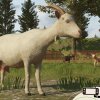 fs26-goats