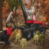 fssignature_forestry