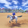 wii_ms_equestscreen_e3