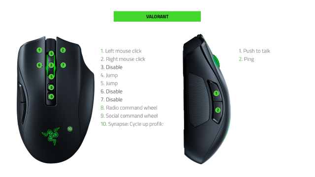 naga-pro-infographic_12_valorant