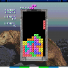 11._Tetris_(1)